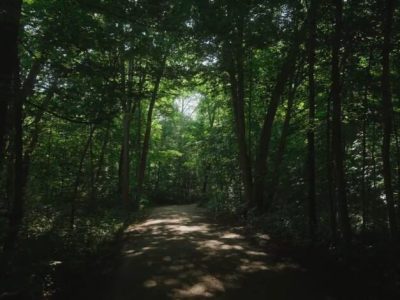 riverview-south-oakville (5)